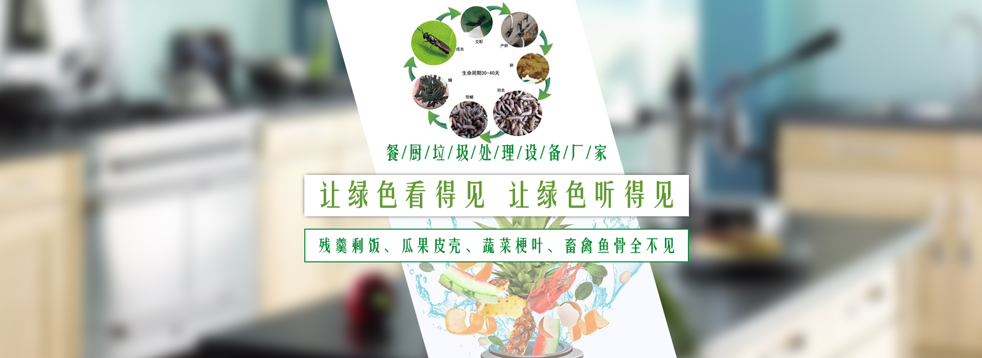 餐厨垃圾处理设备